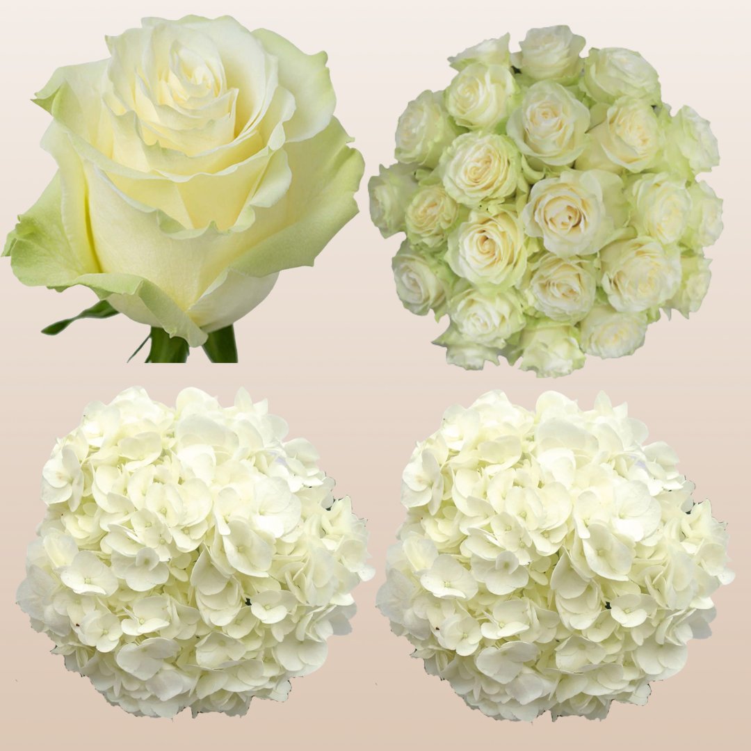 Flower Combo Box #8 Roses & Hydrangeas