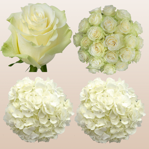 Flower Combo Box #8 Roses & Hydrangeas