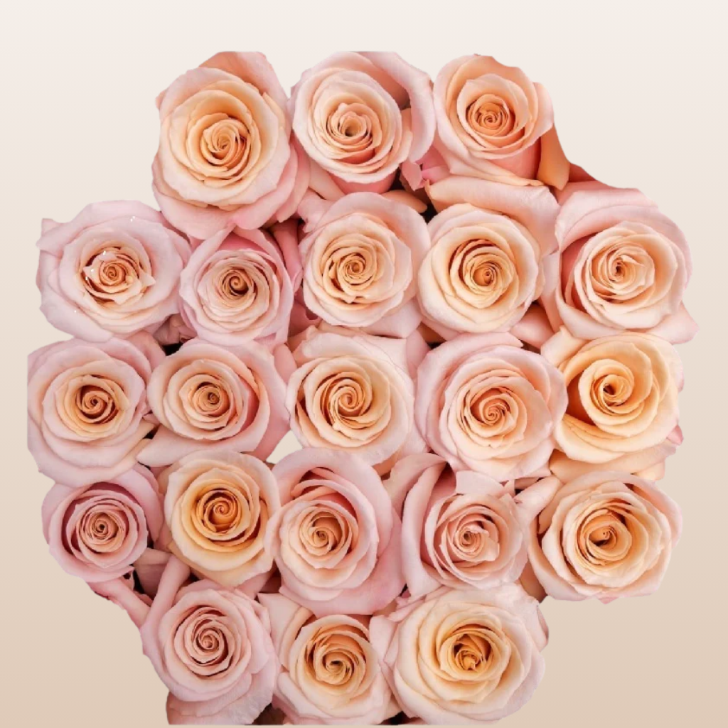 Mother of Pearl Roses