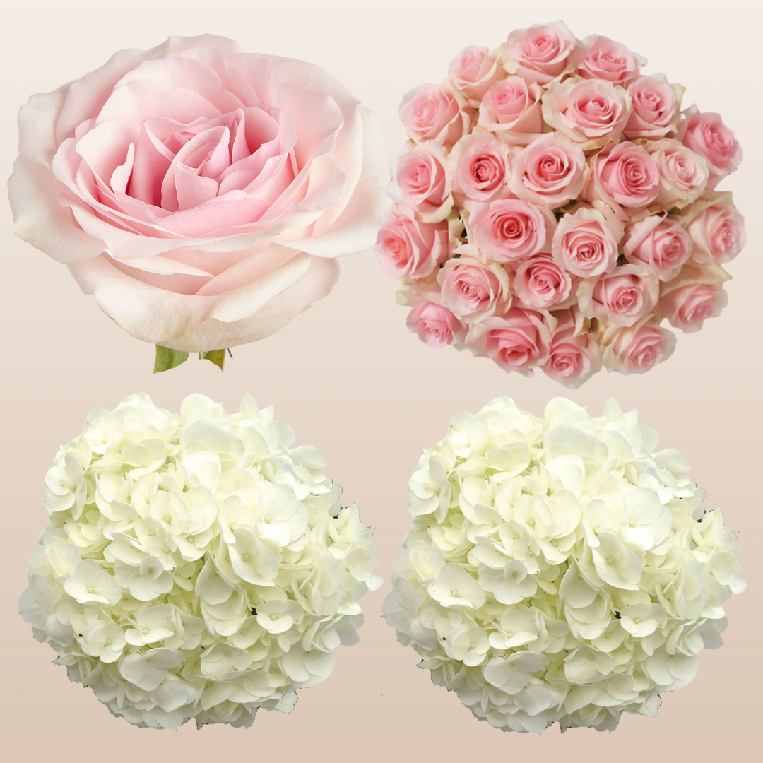 Flower Combo Box #8 Roses & Hydrangeas
