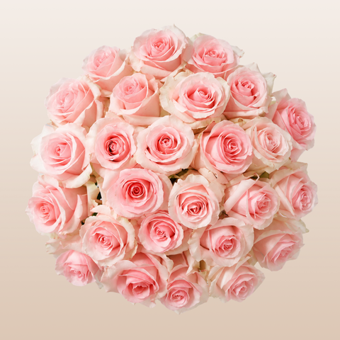 Pink rose bouquet light beige background | EbloomsDirect
