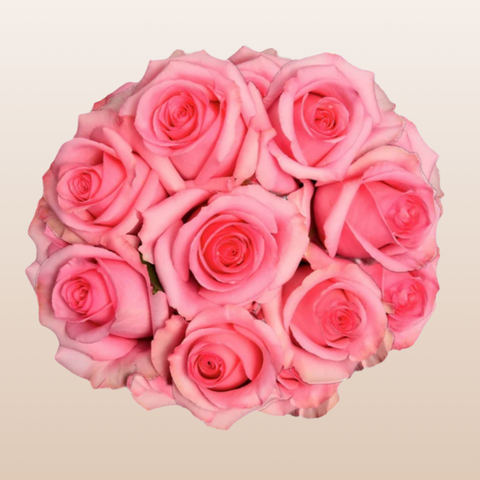 Opala Roses