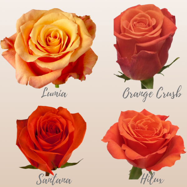 Orange Assorted Roses – EbloomsDirect