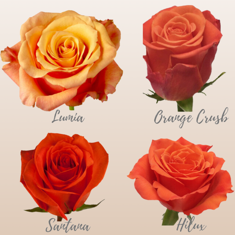 Orange Assorted Roses