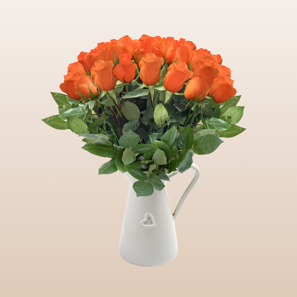 Orange Roses