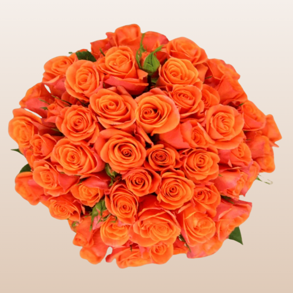 Orange Star Spray Roses