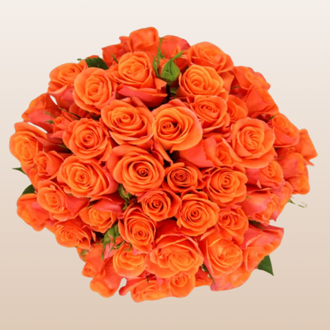 Orange Star Spray Roses
