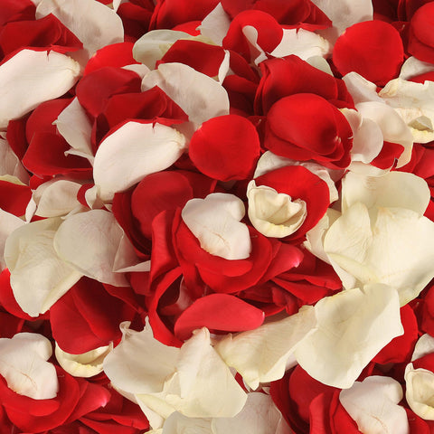 Rose Petals Red - White