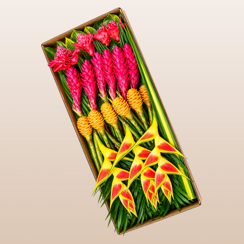Tropical flower arrangement gift box | EbloomsDirect