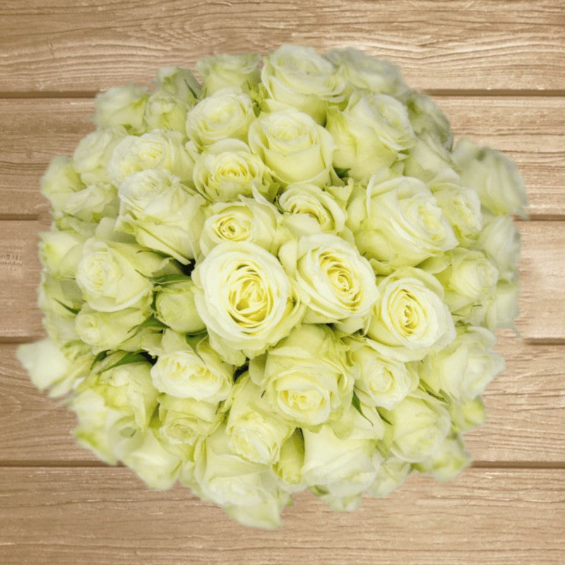 Pascua Ivory Spray Rose EbloomsDirect Eblooms Farm Direct Inc.