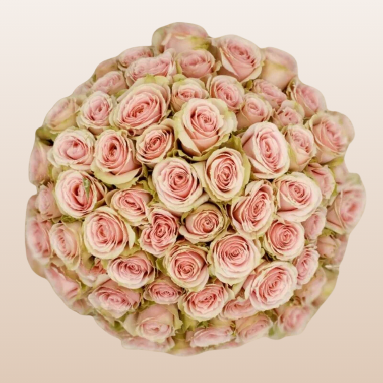 Peach Irishka Spray Roses