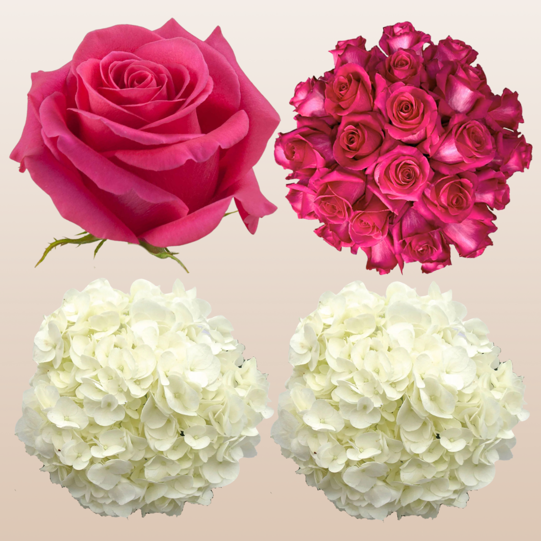 Flower Combo Box #8 Roses & Hydrangeas