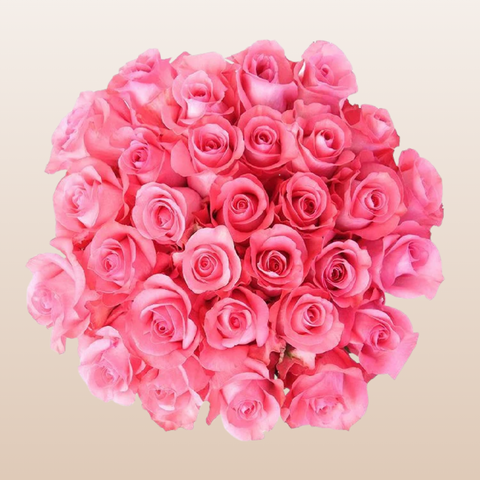 Pink Love Roses
