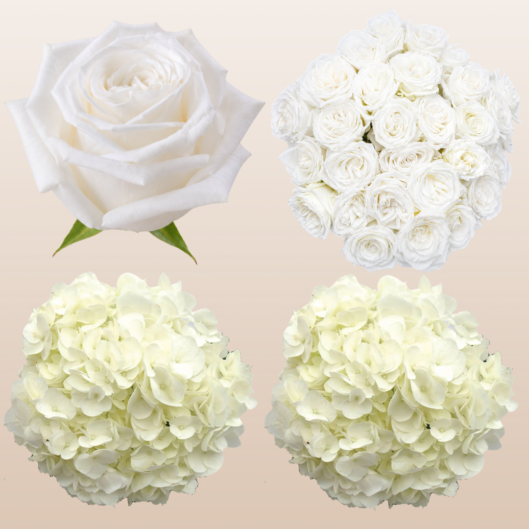 Flower Combo Box #8 Roses & Hydrangeas