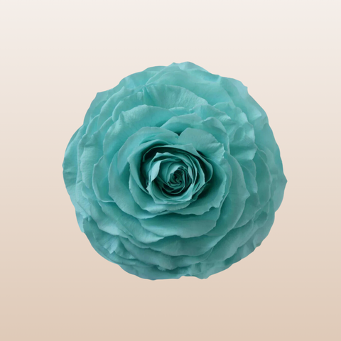 Preserved Roses Aqua