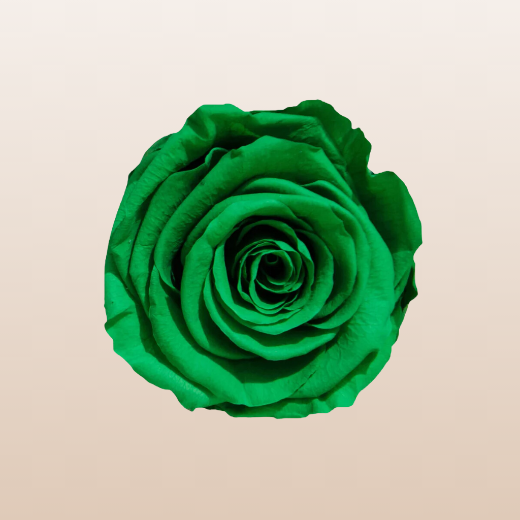 Preserved Roses Green
