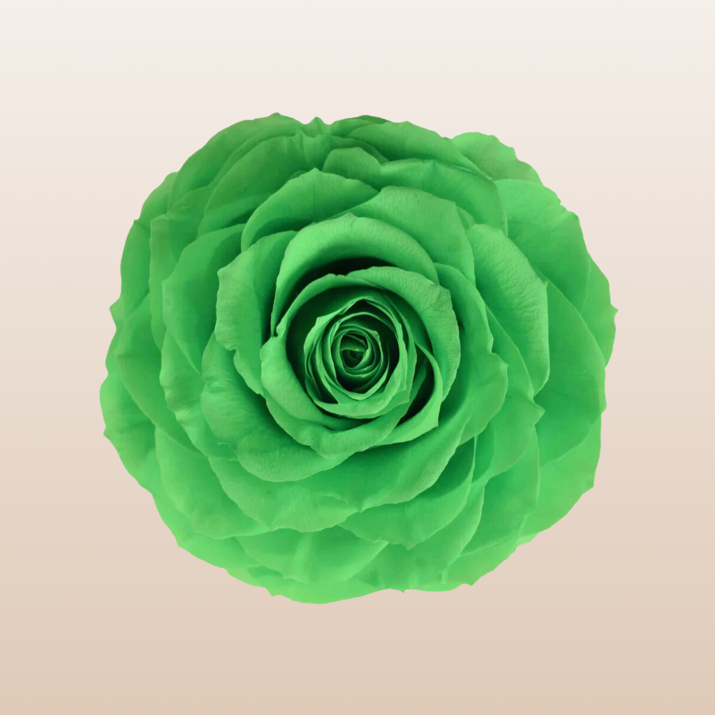 Preserved Roses Light Green