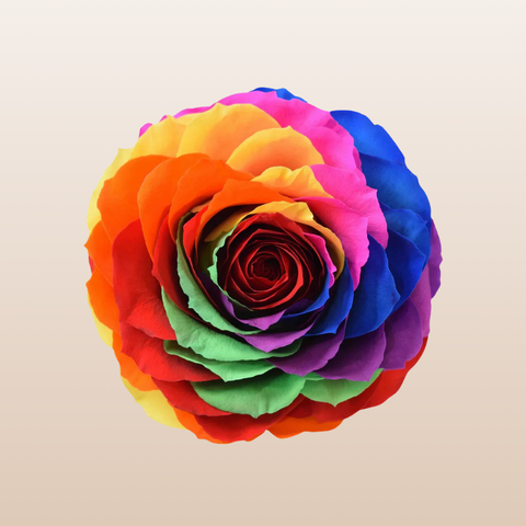 Preserved Roses Rainbow Bright