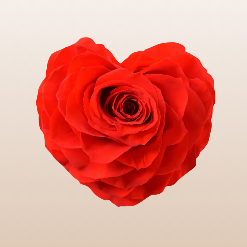Preserved Roses Red Heart