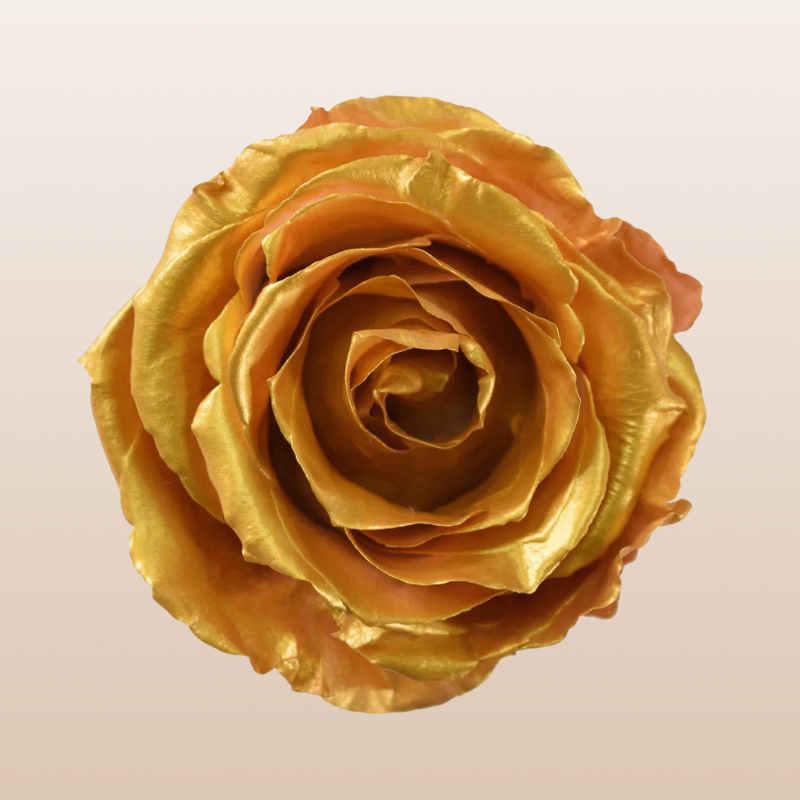 Preserved Roses Golden