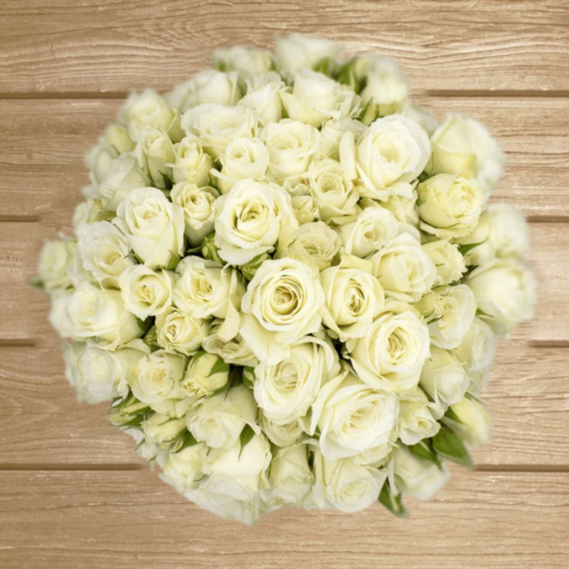 Princess White Cream Spray roses - EbloomsDirect