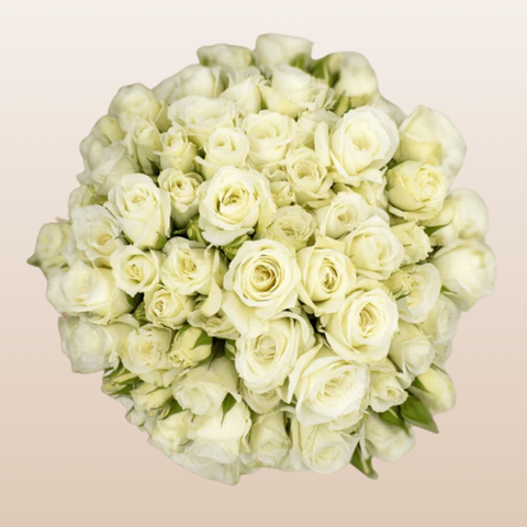 Princess White Cream Spray Roses