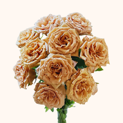 Pumpkin Spice Garden Roses