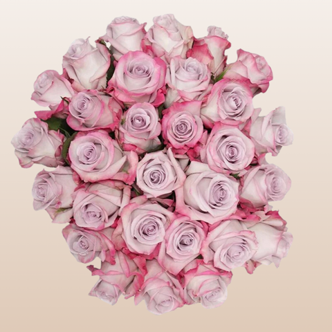 Purple Haze Roses