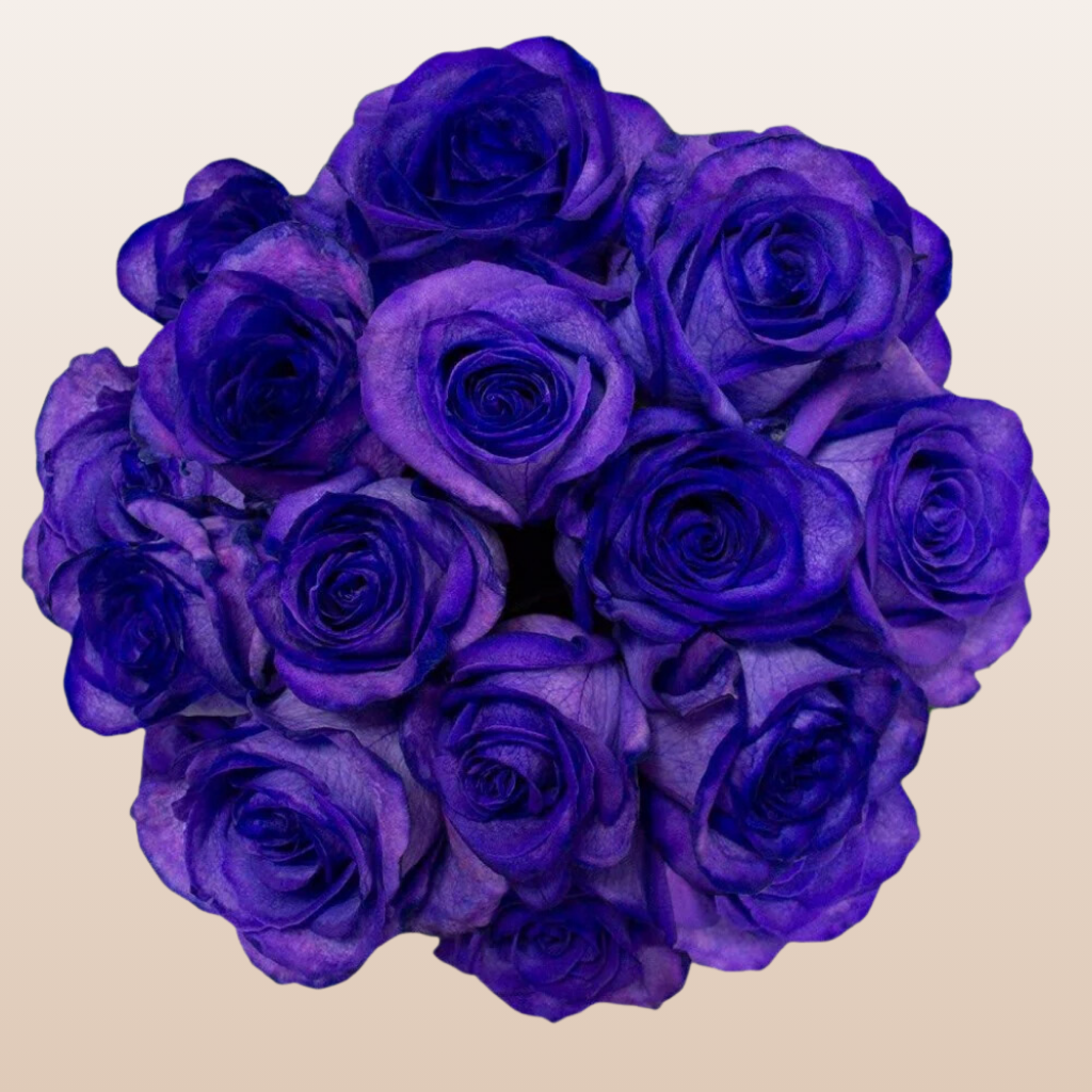 Purple Tinted Roses