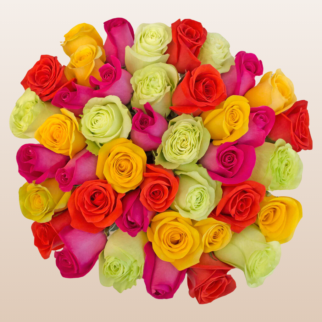 Rainbow Bright Roses – EbloomsDirect