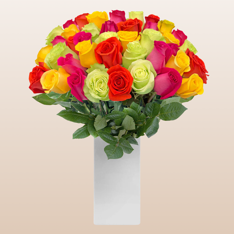 Rainbow Bright Roses