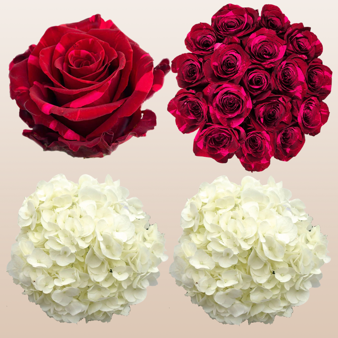 Flower Combo Box #8 Roses & Hydrangeas
