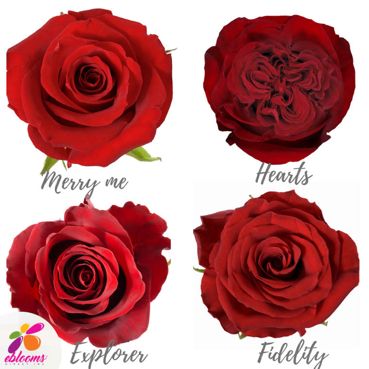 Red Assorted Roses
