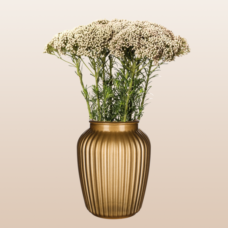 Rice Flower White