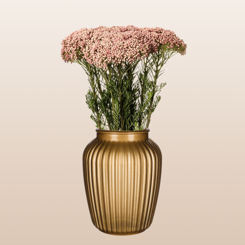 Rice Flower Pink