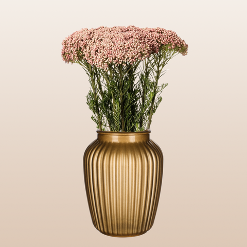 Rice Flower Pink