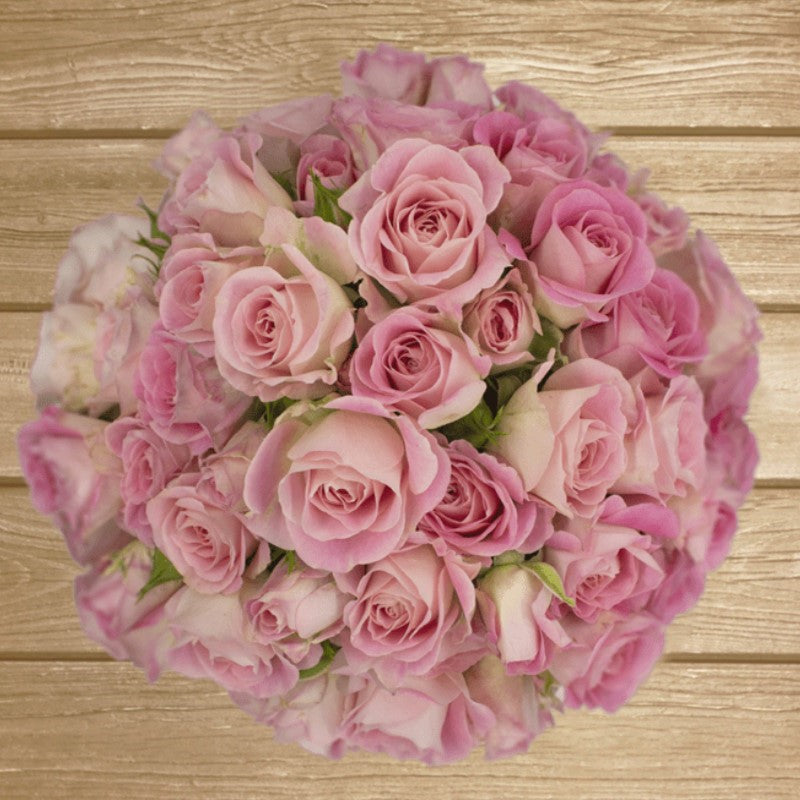 Romantica Medium Pink Spray rose - EbloomsDirect
