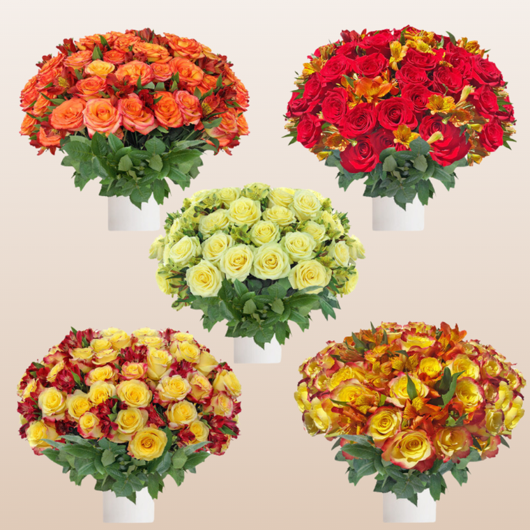 Rose - Alstroemeria Bouquet Fall Assorted Pack 8