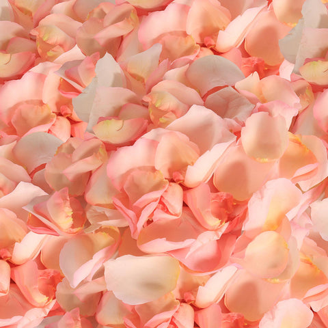 Rose Petals Light Pink - White