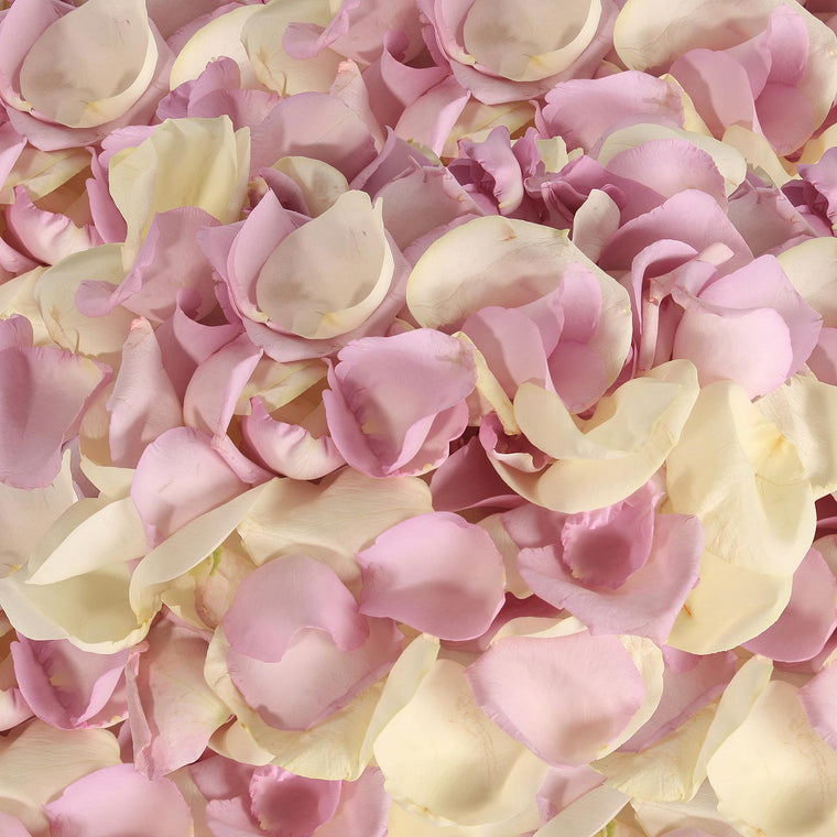 Rose Petals White - Lavender