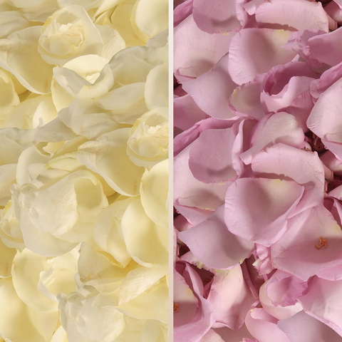 Rose Petals White - Lavender