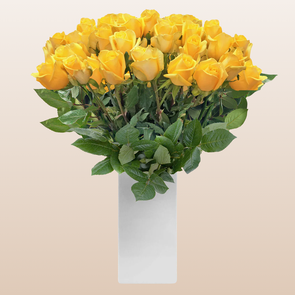 Roses Yellow 60cm Long Stem