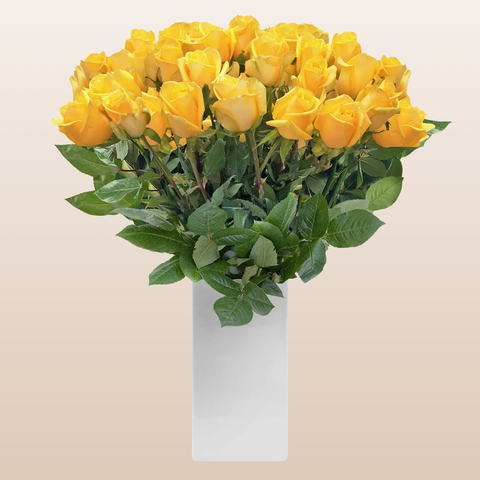Roses Yellow 60cm Long Stem