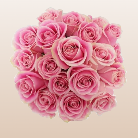 Rosita Vendela Roses