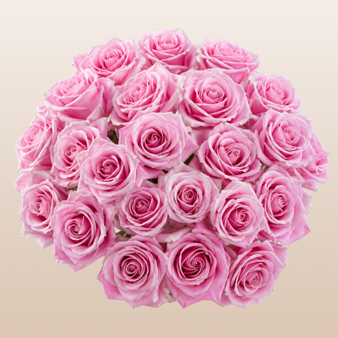 Rosita Vendela Roses