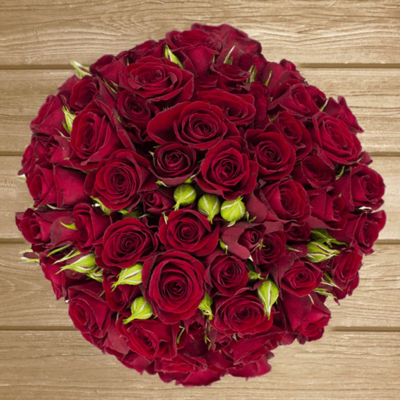 Rubicon Red Spray Rose - EbloomsDirect