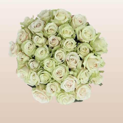 Sahara Roses