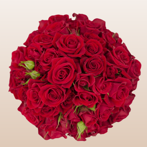 Scarlet Mini Red Spray Roses