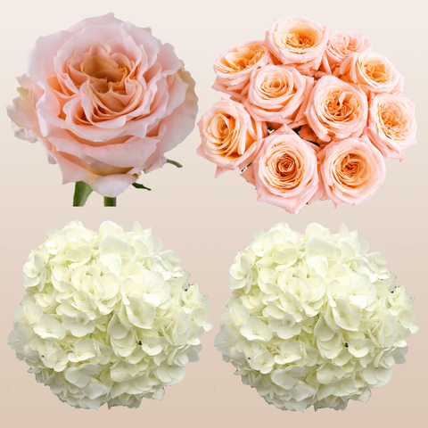 Flower Combo Box #8 Roses & Hydrangeas