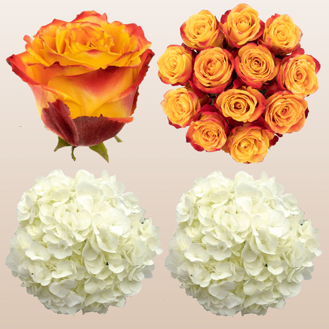 Flower Combo Box #8 Roses & Hydrangeas